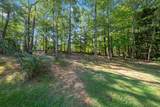 49 Cedar Branch Street - Photo 47