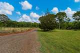 1540 Flint Hill Highway - Photo 54