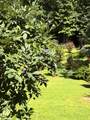 117 Brookwood Drive - Photo 50