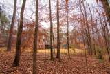 3337 Lower Blue Springs Road - Photo 42