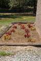 6404 Cartledge Road - Photo 40