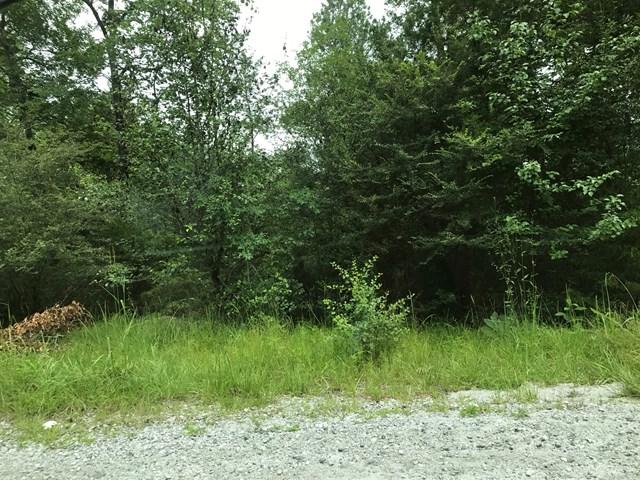 Lot 1 BlockA Pintail Drive - Photo 1