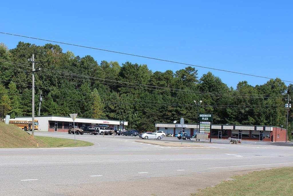 5175 Ga Hwy 219 - Photo 1