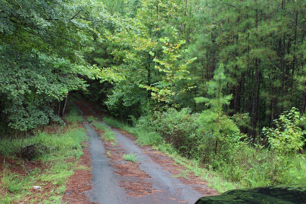 9250 River Road - Photo 1