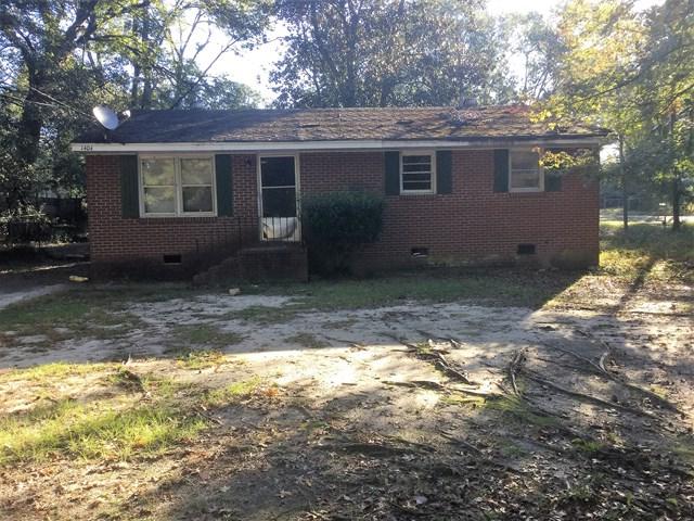 1404 Celia Drive - Photo 1