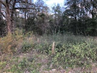 0 Avalon Circle - Photo 1