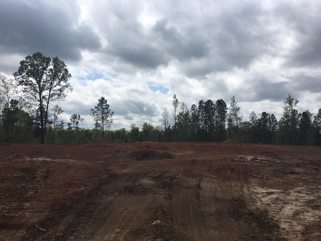 Lot 6 Oswichee Road - Photo 1