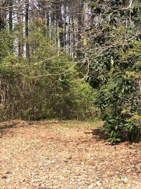 lot 56 White Oak Road - Photo 1