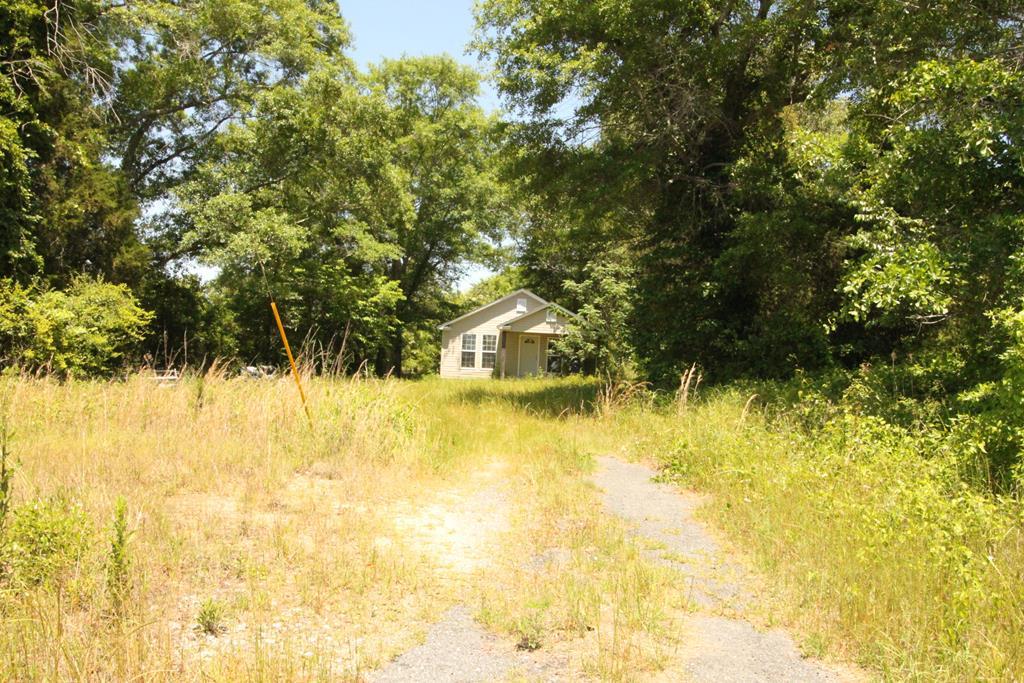 1011 Cusseta Highway - Photo 1