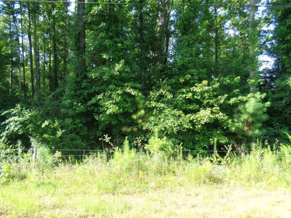 44 Sand Town Road - Photo 1