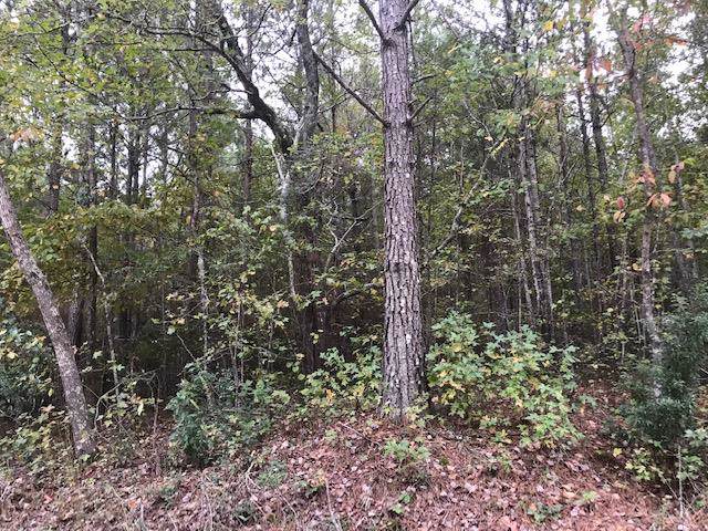 LOT 4 Cold Springs Road - Photo 1