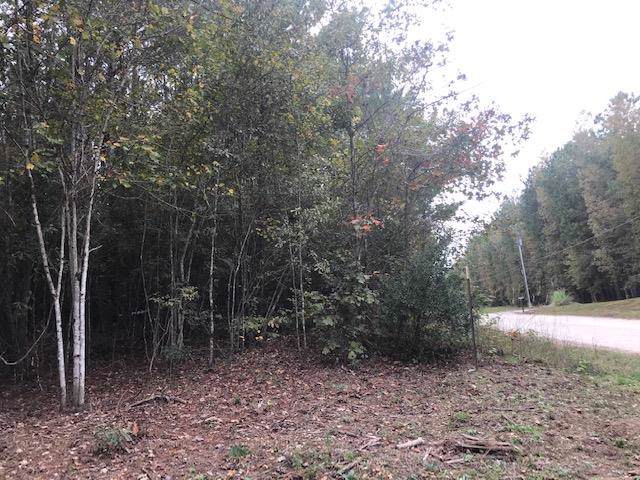 LOT 5 Cold Springs Road - Photo 1