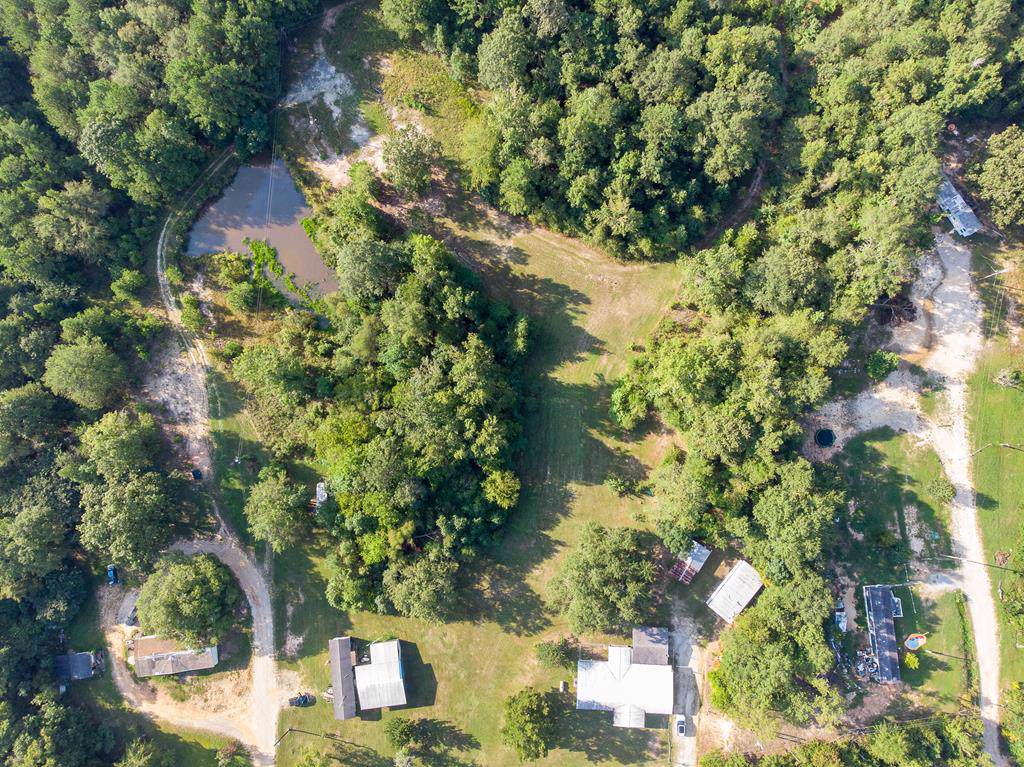 4119 Highway 80 West - Photo 1
