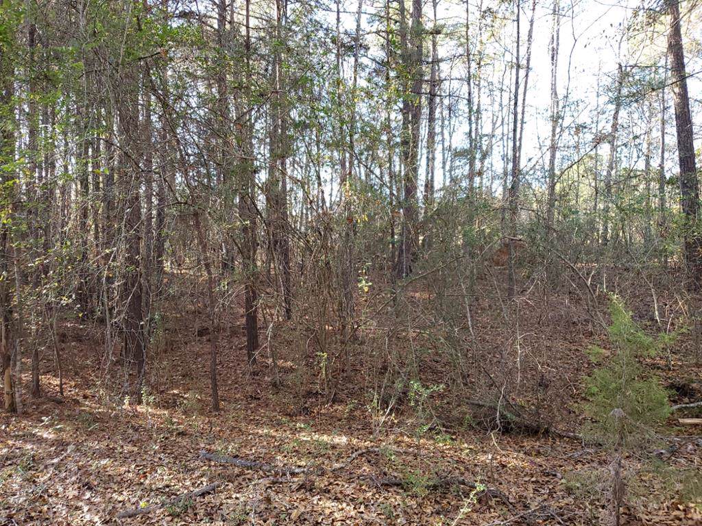 Lot 10 Deer Ridge Drive - Photo 1