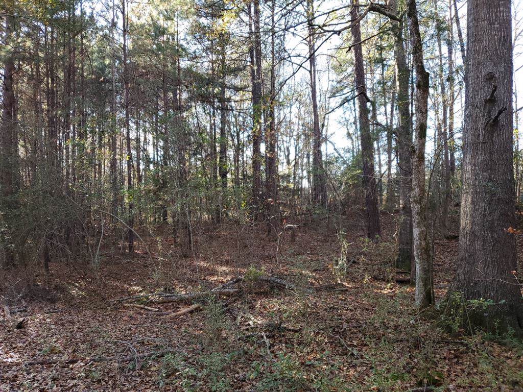 Lot 11 Deer Ridge Drive - Photo 1
