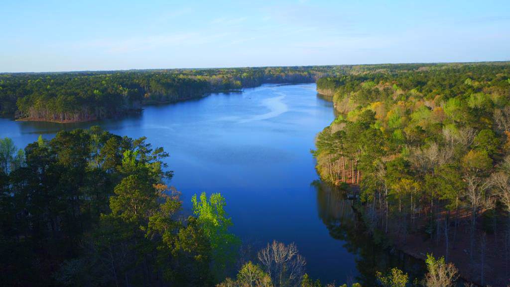 Lot 71 Piedmont Lake Road - Photo 1
