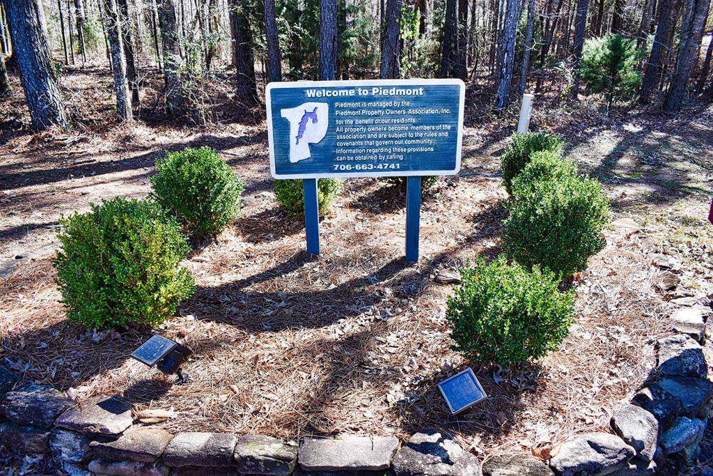 LOT 133 PHASE 1 Piedmont Lake Drive - Photo 1