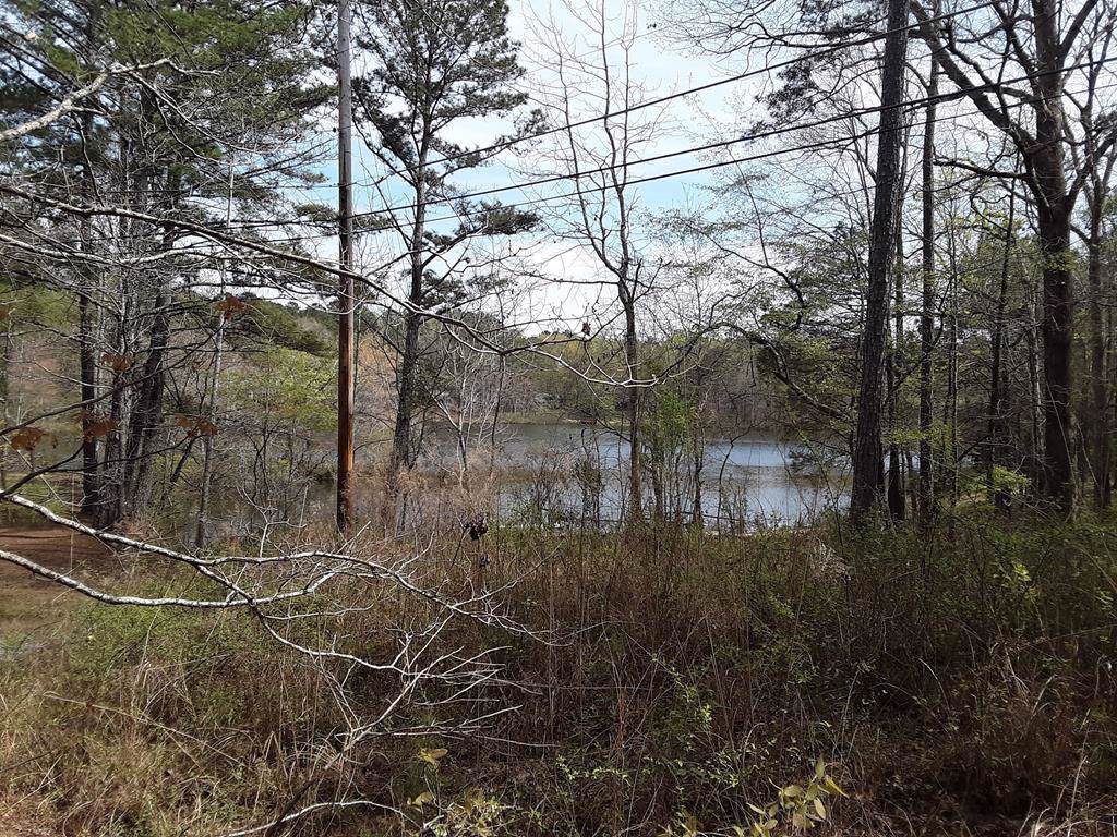 Lot 22,23,24 Lake Drive - Photo 1