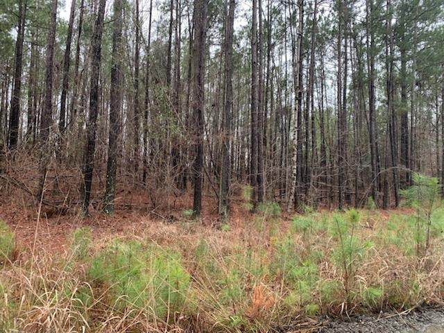 3418 Old Old River Road - Photo 1