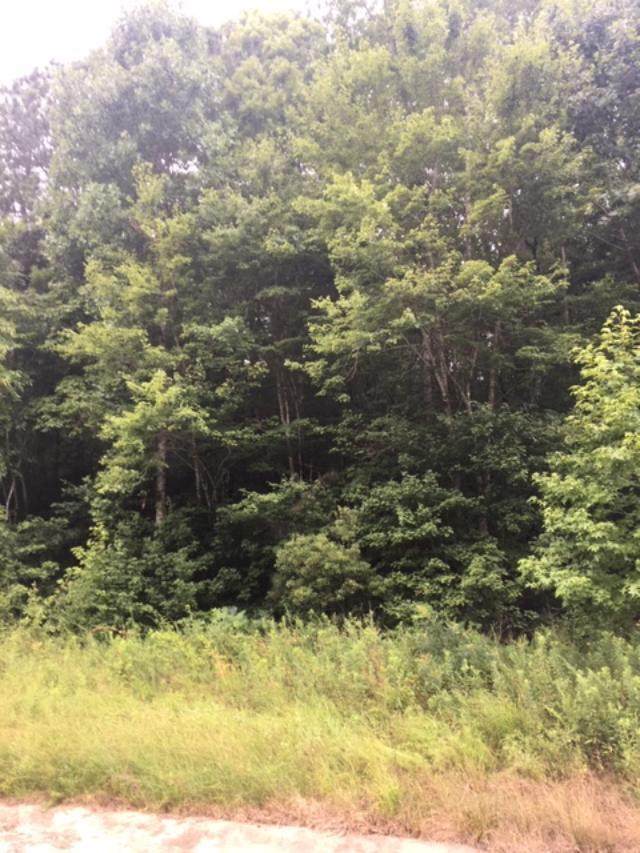 Lot 1 Ga Hwy 116 - Photo 1