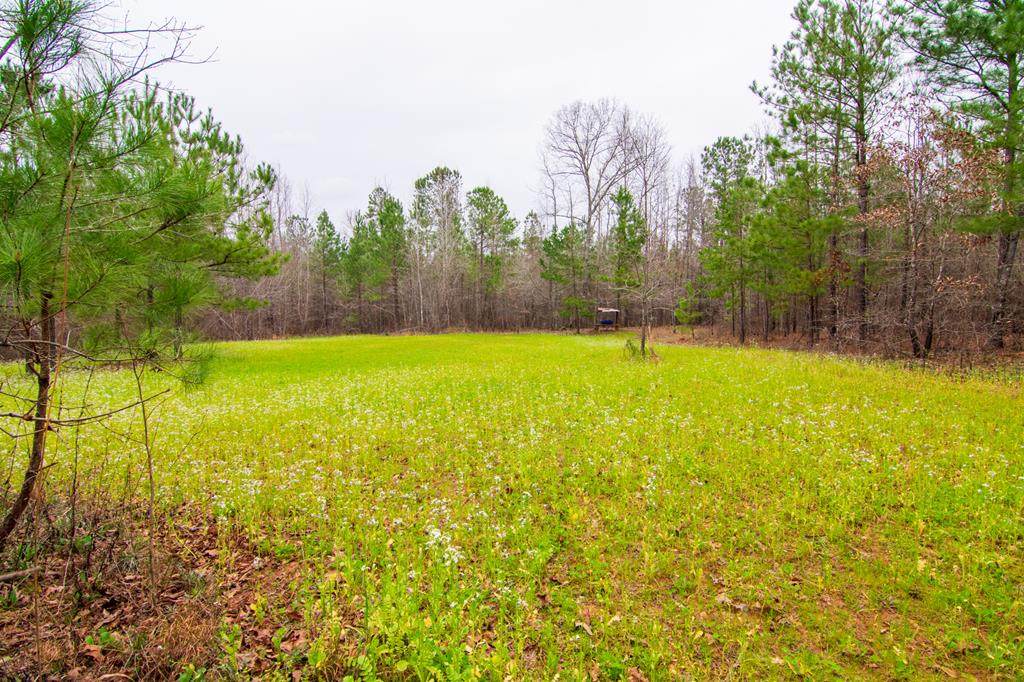 0 Alabama Road - Photo 1