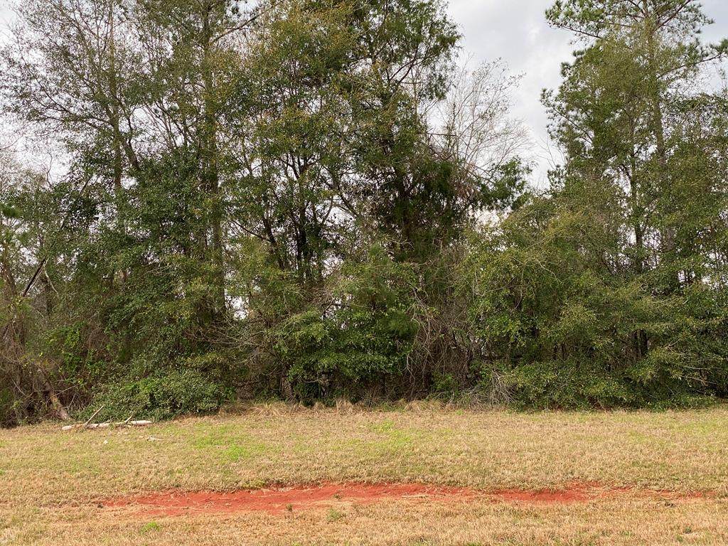 0 S Ga Pkwy - Photo 1