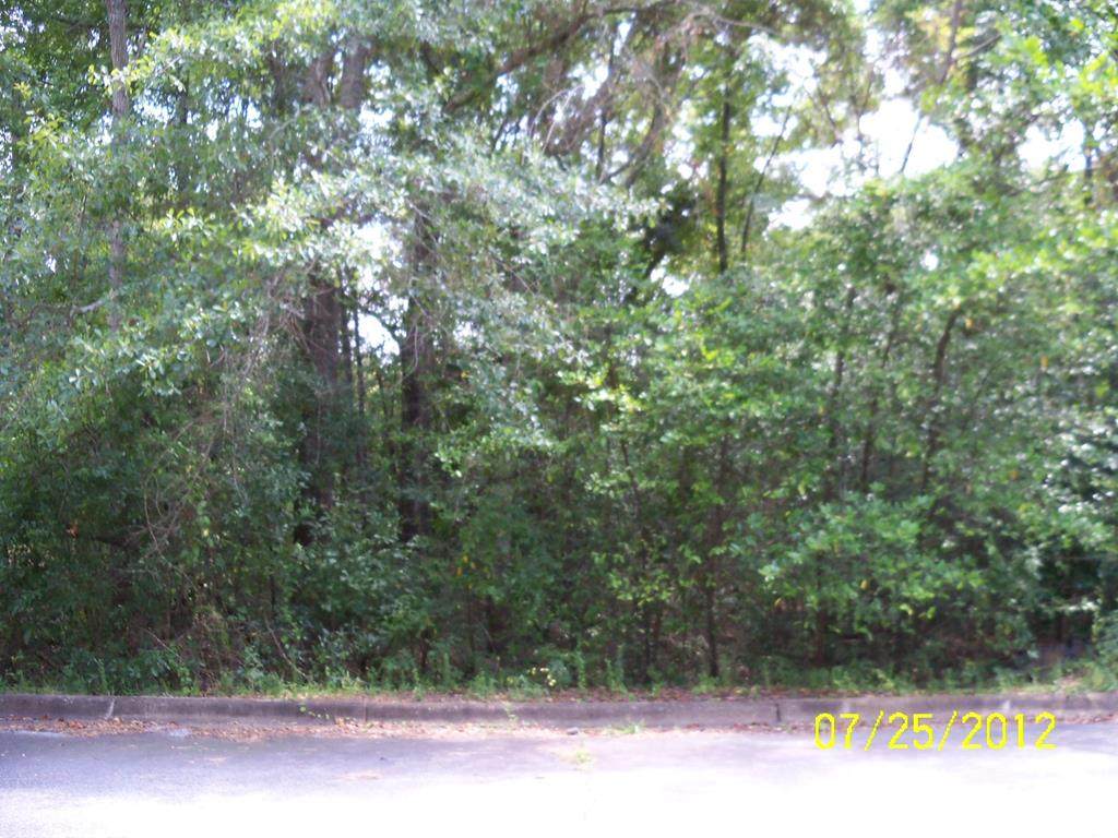 0 Thomas Road - Photo 1
