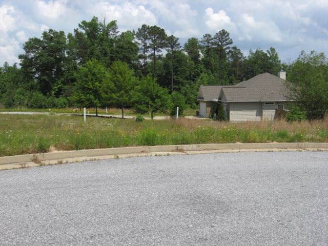 32 R.C. Allen Drive - Photo 1