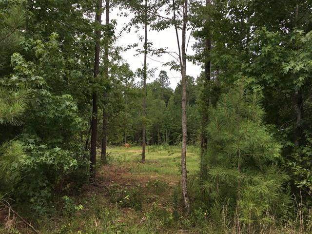 Lot 11 Oak Ridge Drive - Photo 1