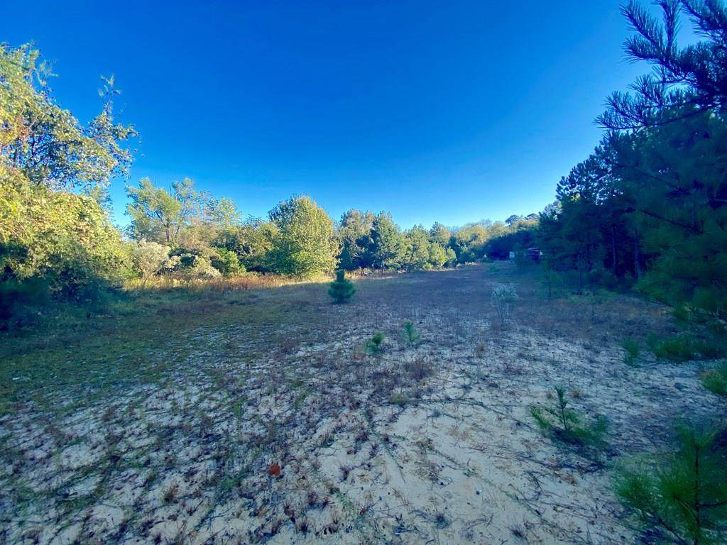 0 Forrest Road - Photo 1
