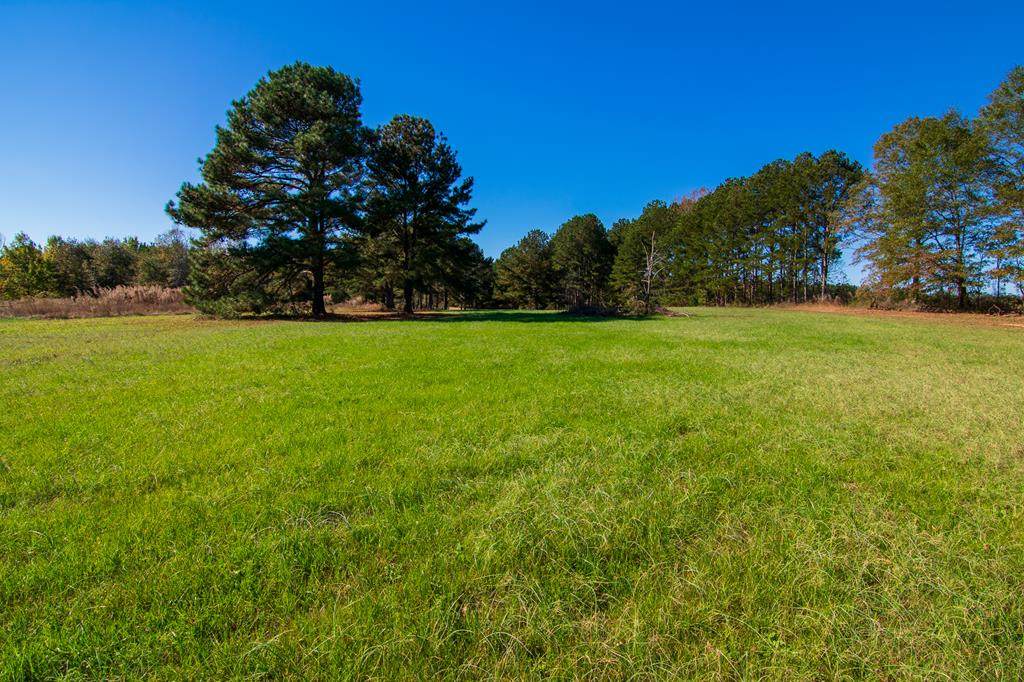 0 Dallas Mill Road - Photo 1