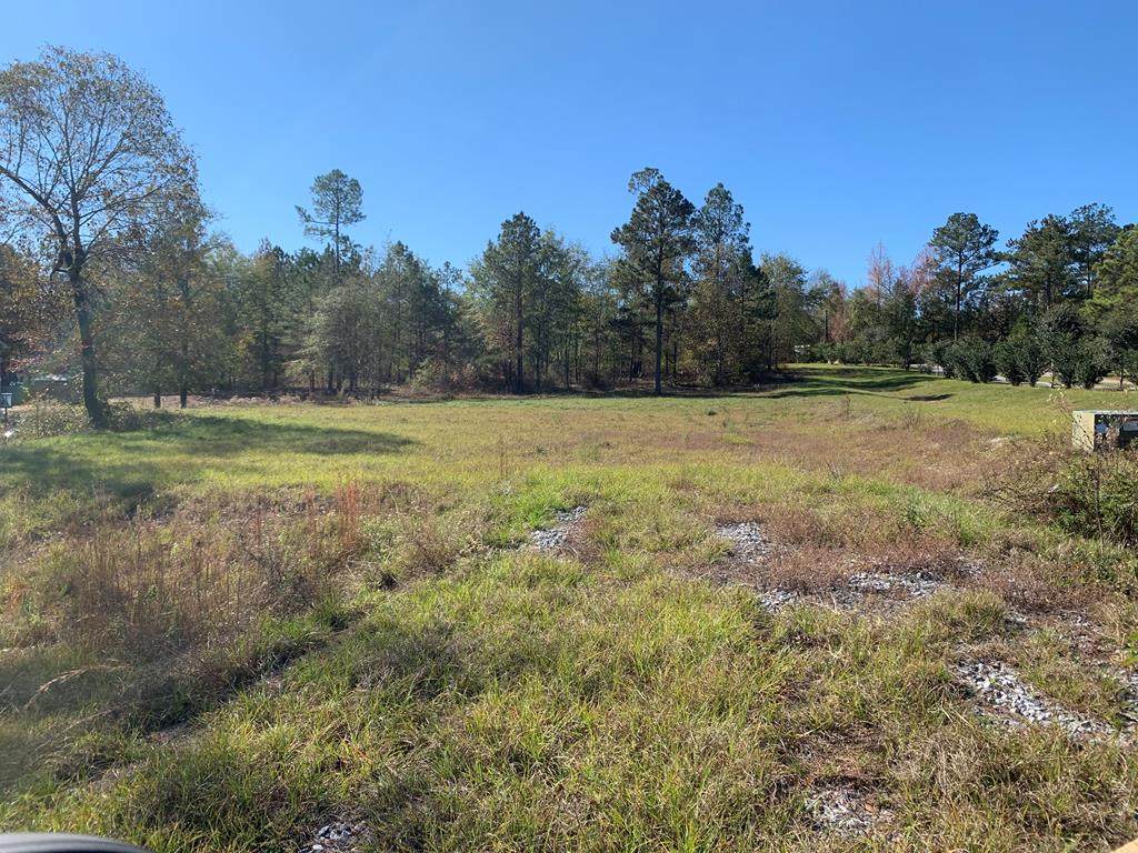 213 Hero Trail - Photo 1
