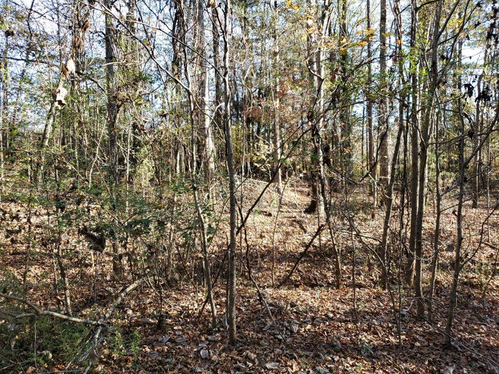 Lot 10 Deer Ridge Drive - Photo 1