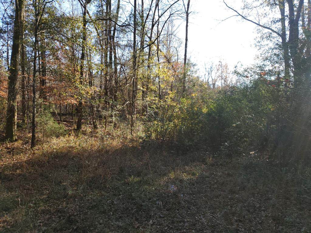 Lot 12 Deer Ridge Drive - Photo 1