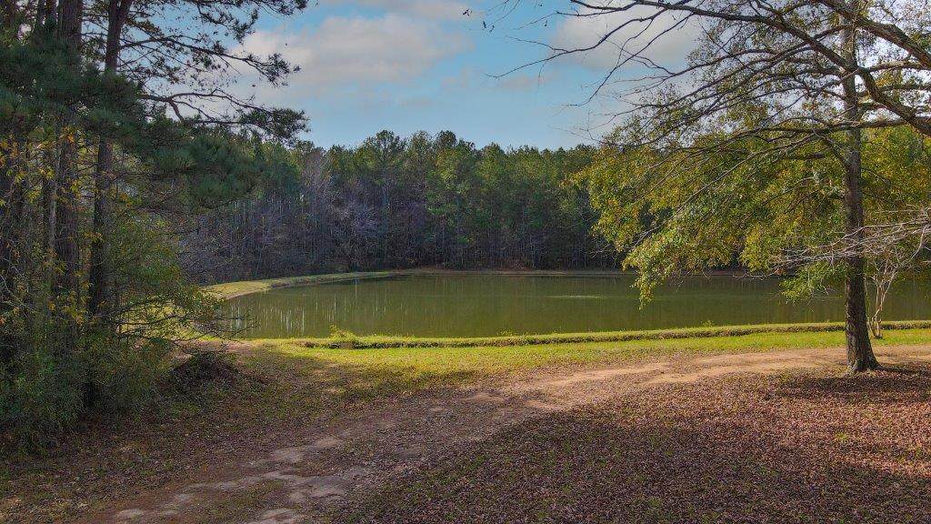 112 Gabbettville Road - Photo 1