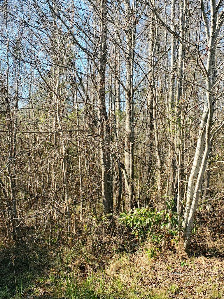 0 Ponderosa Drive - Photo 1