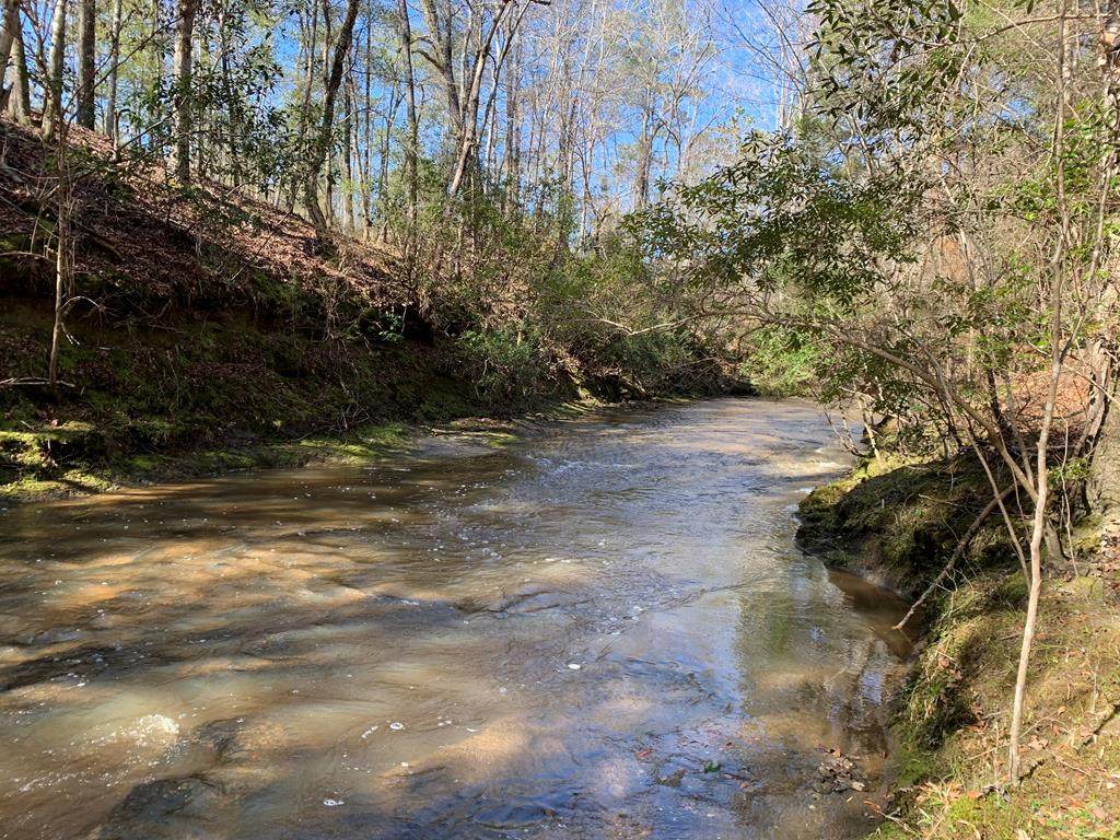 604.96 ac Highway 431 - Photo 1