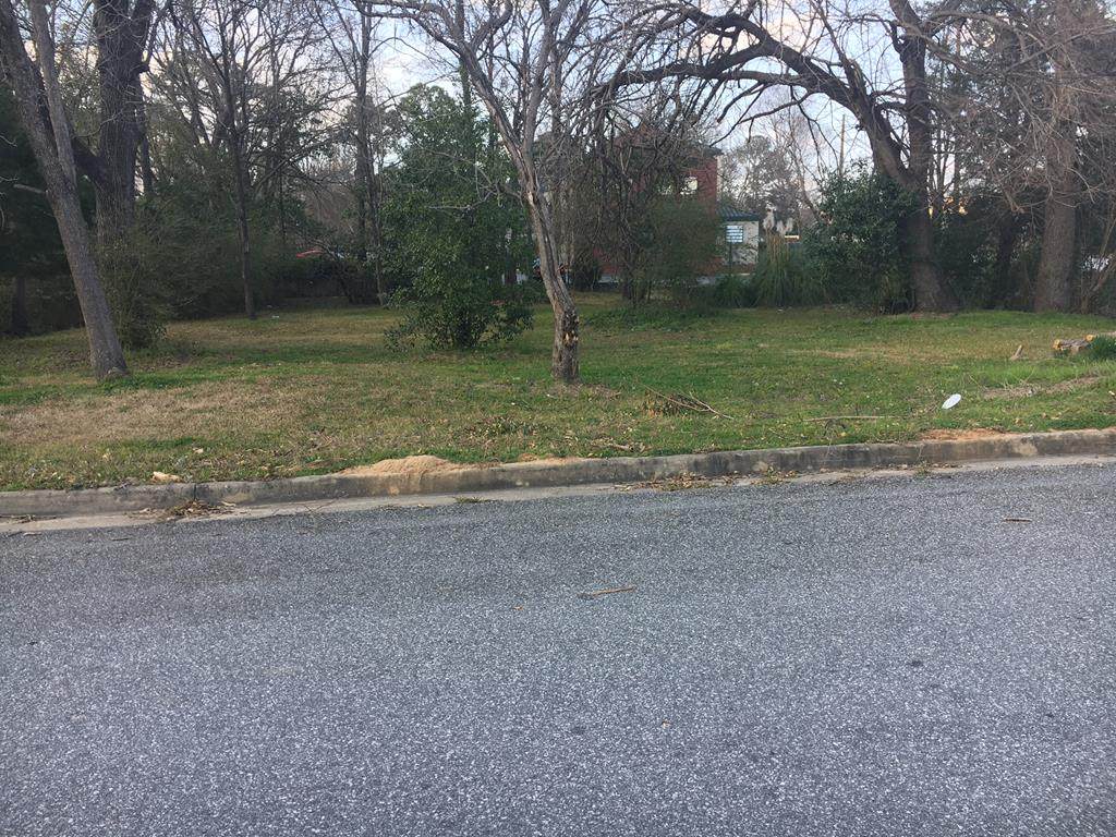 2207 Pageland Drive - Photo 1