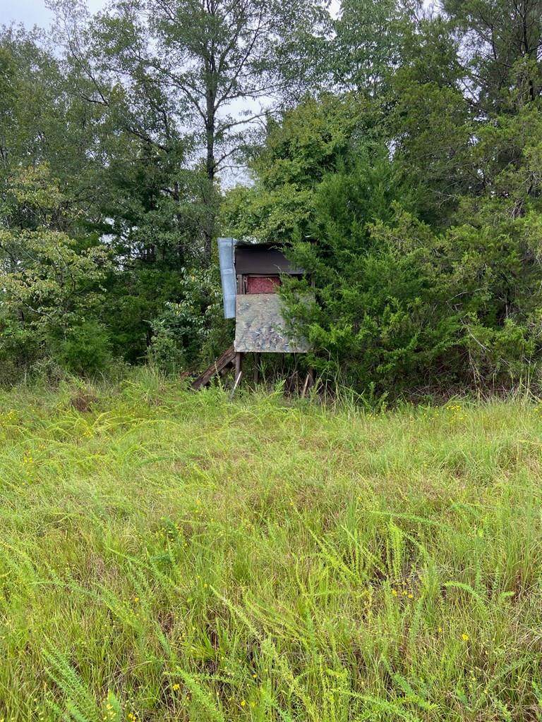 0 Lake Talbot Road - Photo 1