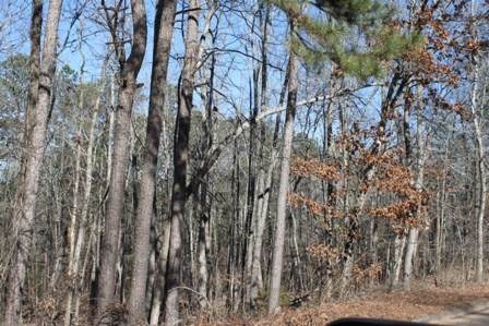 0 Sunset Drive - Photo 1