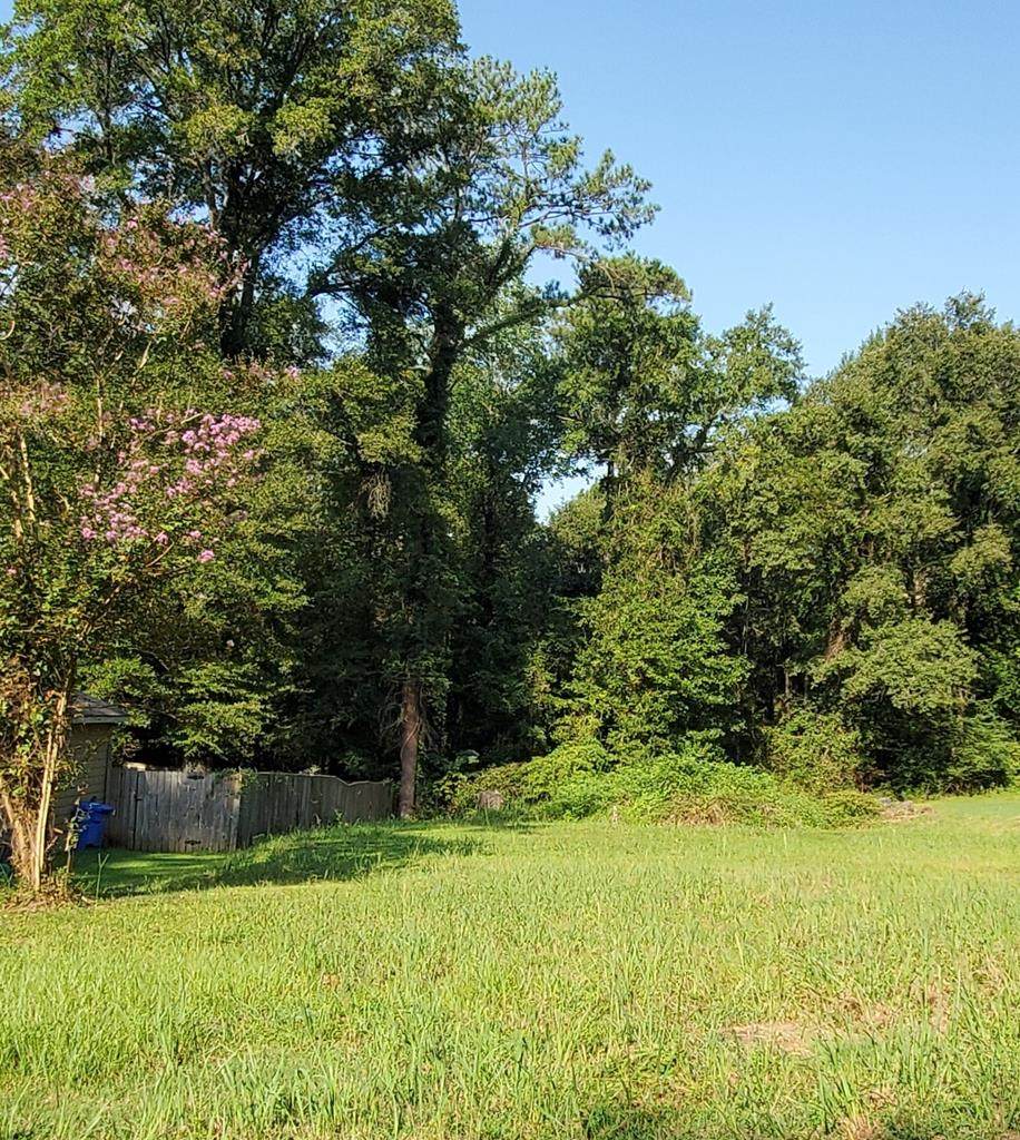 2981 Barbara Road - Photo 1