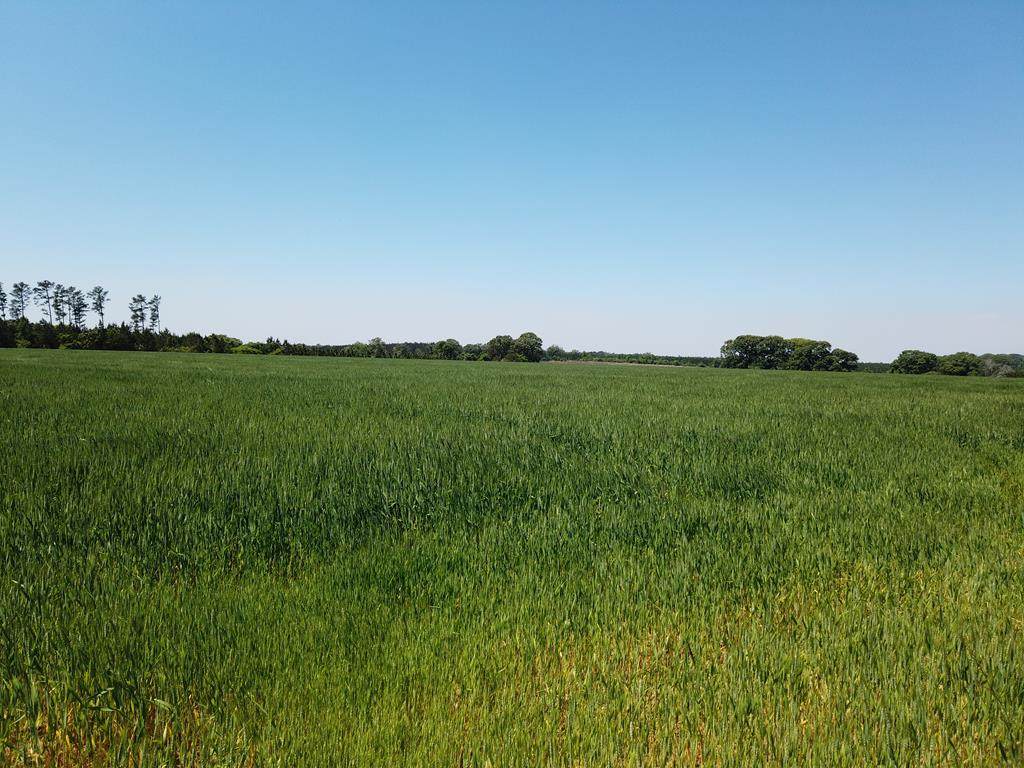 485 Ga Hwy 127 - Photo 1