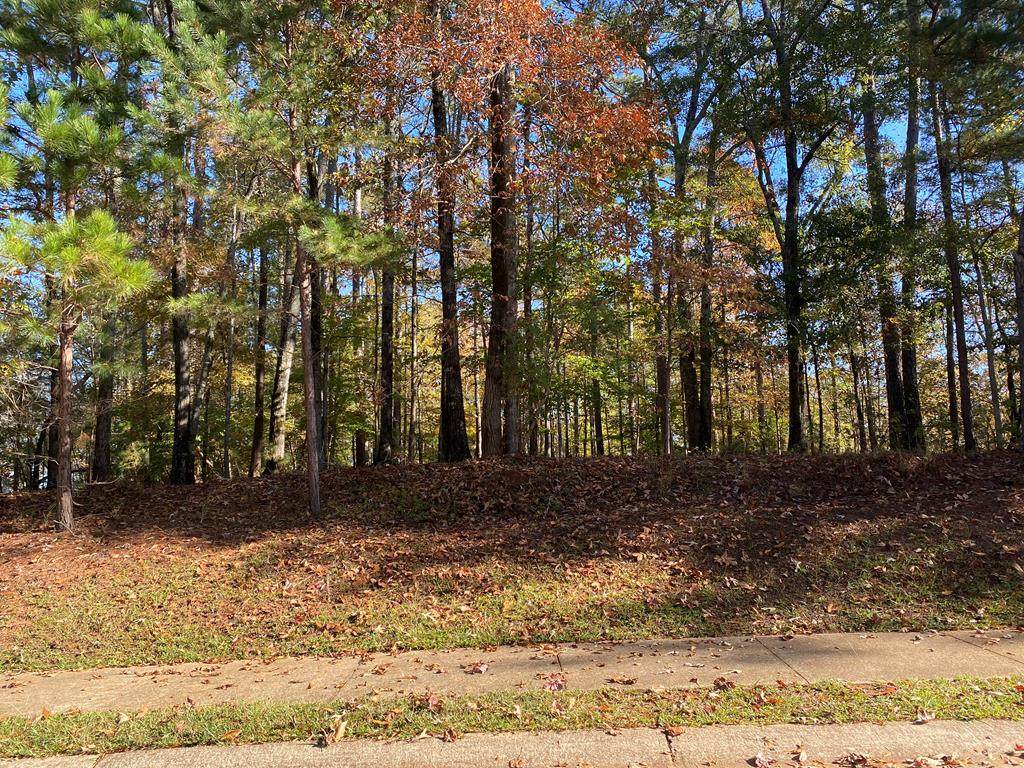138 Morgan Drive - Photo 1