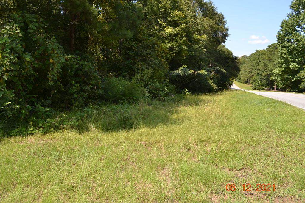 0 Highway 431 South - Photo 1