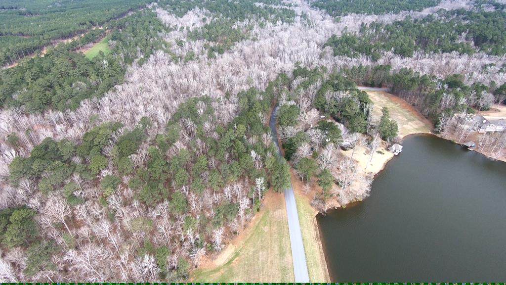Parcels 2 & 4 Piedmont Lake Road - Photo 1