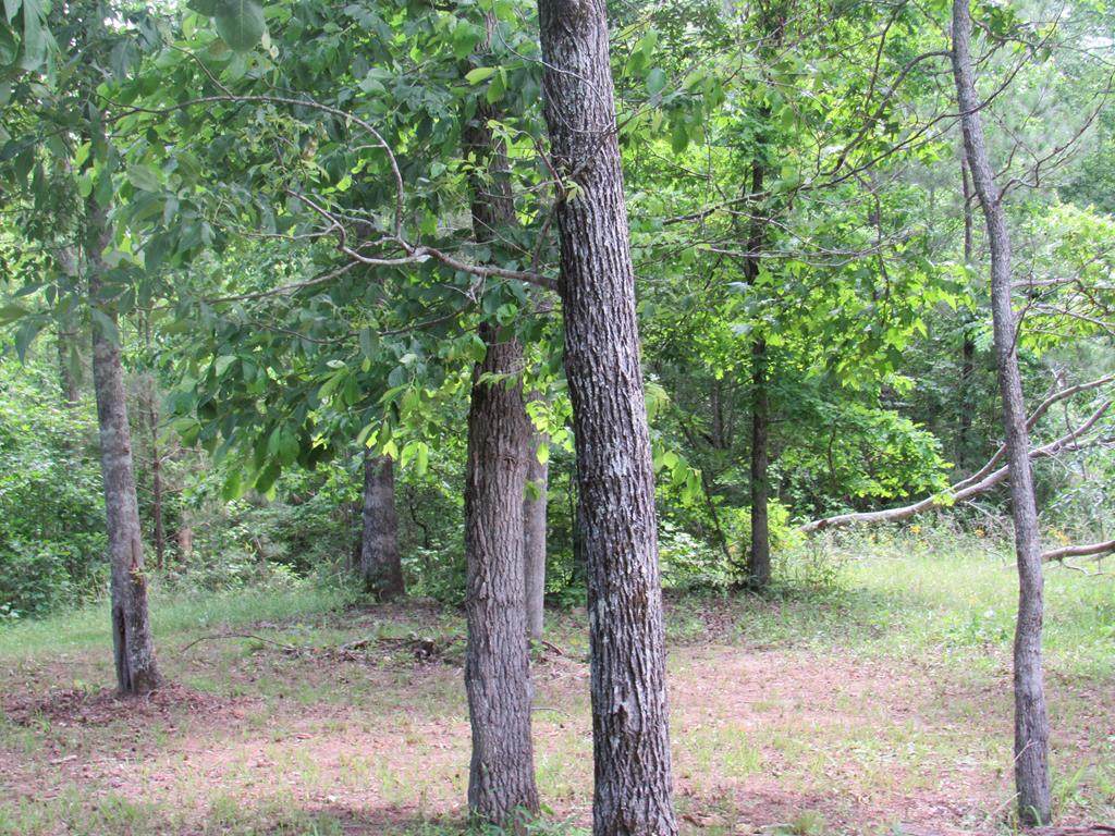 Lot 8 Crestline Court - Photo 1
