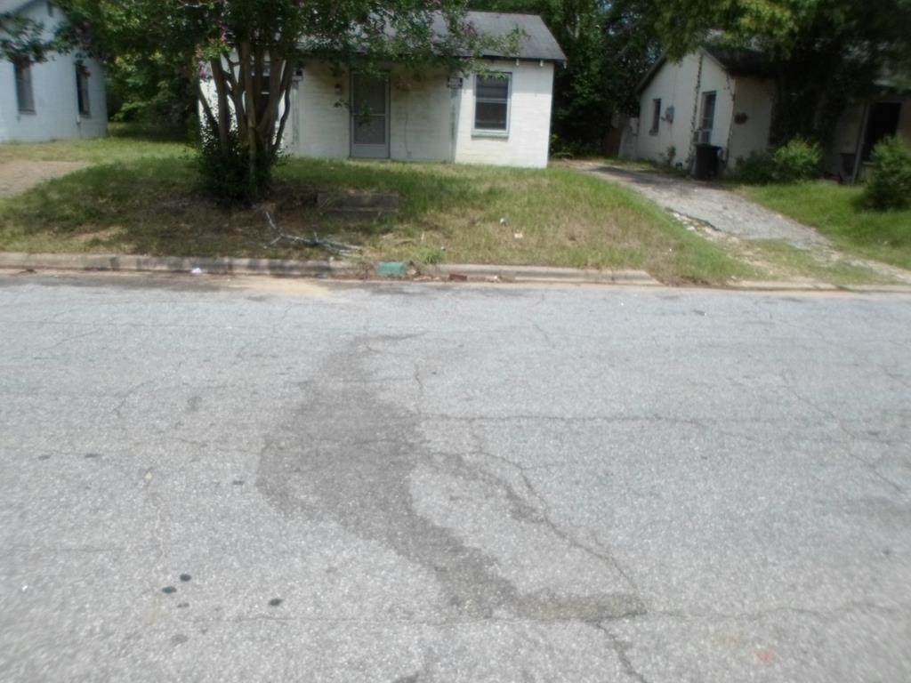 1809 Nina Street - Photo 1