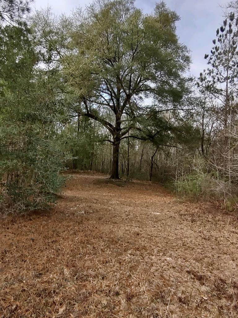 0 Highway 352 - Photo 1