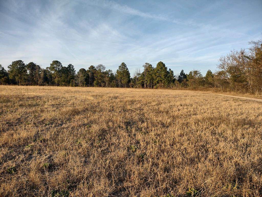 0 Butler Highway - Photo 1