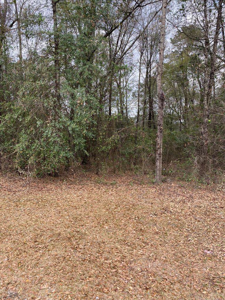 743 Vista Drive - Photo 1